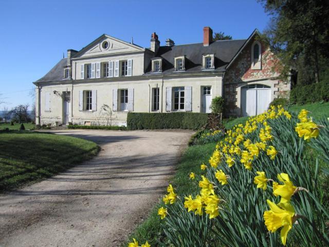 Chambres d'Hôtes Le Château de la Plante Thuré Exterior foto